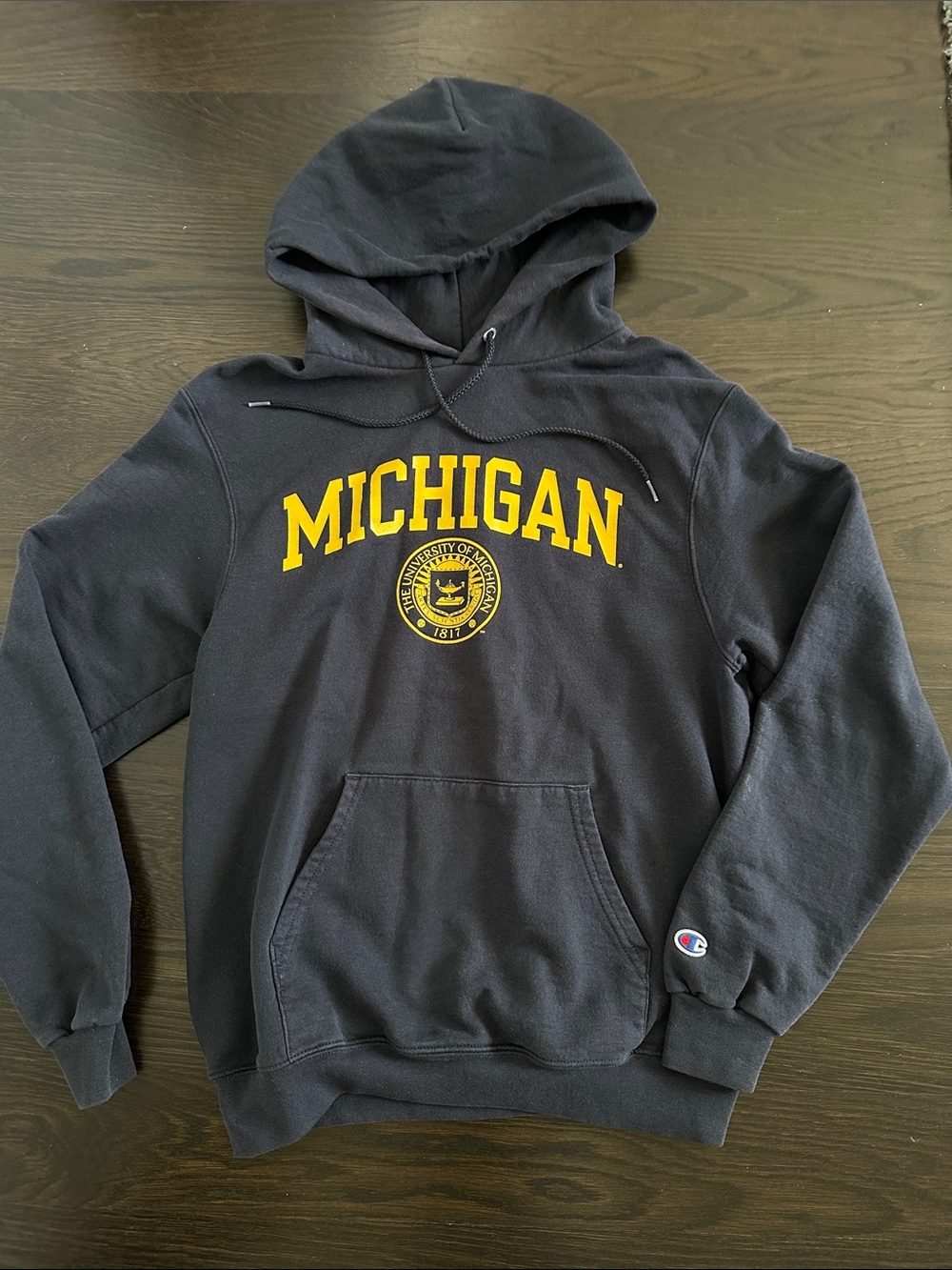 Champion Michigan Hoodie